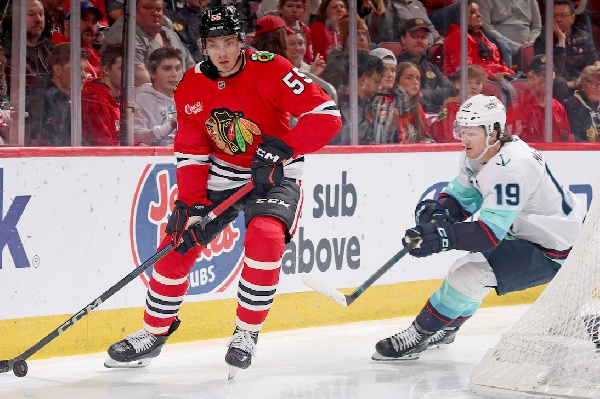 Белорус Артем Левшунов подытожил победу над "Ютой" в матче НХЛ