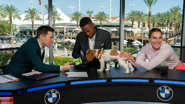 "Когда мне хочется "сойти с ума": Соболенко пришла на прямой эфир с собакой и объяснила особое значение Эша в своей жизни 