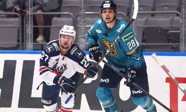 "Торпедо" уверенно одолело "Сочи" в матче КХЛ