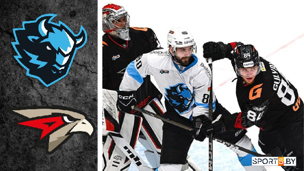 Минское "Динамо" отыграло две шайбы, но уступило "Авангарду"