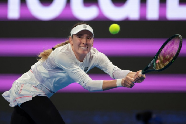 Российская теннисистка не смогла выйти в финал турнира WTA в Нидерландах