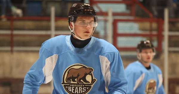 "Херши Беарс" одолел "Шарлотт Чекерс" в матче АХЛ: Помог ли Протас?