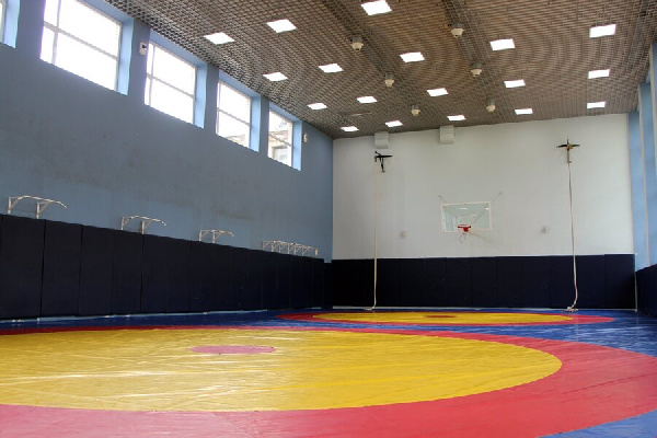 Допинг и потеря веса: тренер по борьбе из Берестовицы стал фигурантом уголовного дела