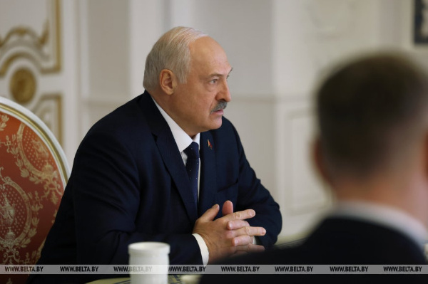 Александр Лукашенко поручил провести проверку спортивных клубов Беларуси