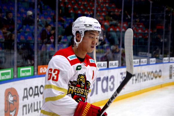 Экс-нападающий клубов КХЛ был осужден за нападение на человека