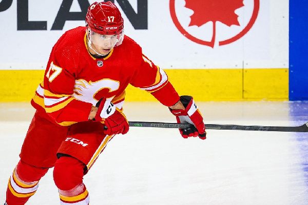 Ассист Шаранговича помог "Калгари" переиграть "Ванкувер" Толопило в матче НХЛ