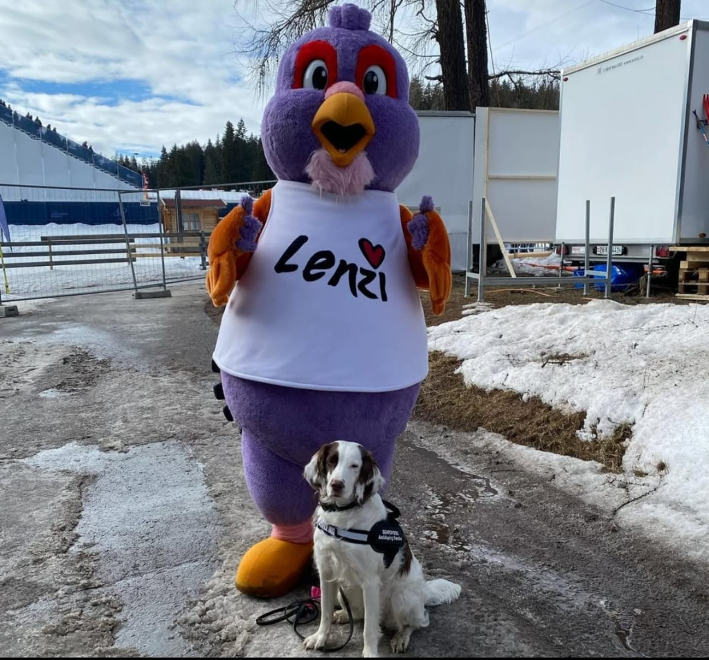 cane-Molly-mascotte-Lenzerheide.jpg